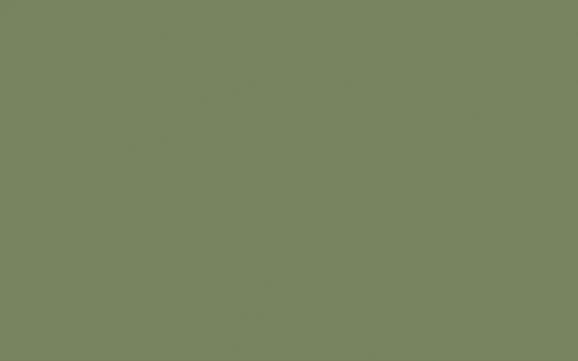 Little Greene Toms Oil Eggshell Paint (1L) - Image 40
